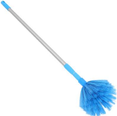 Cobweb Cleaning Brush